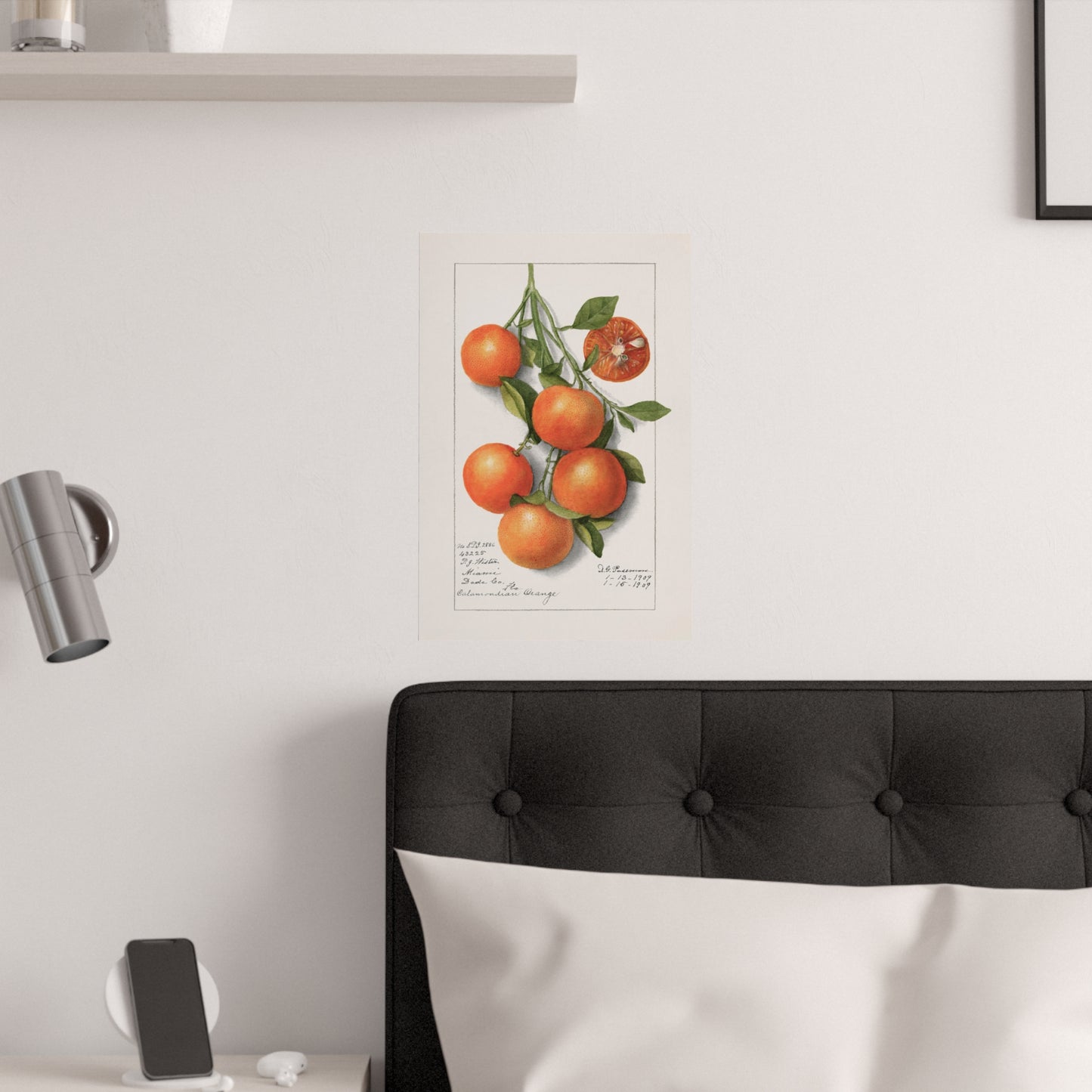 Oranges (Calamondian) 1919 by Deborah Griscom Passmore; Fruit Botanical Kitchen Art Print Poster