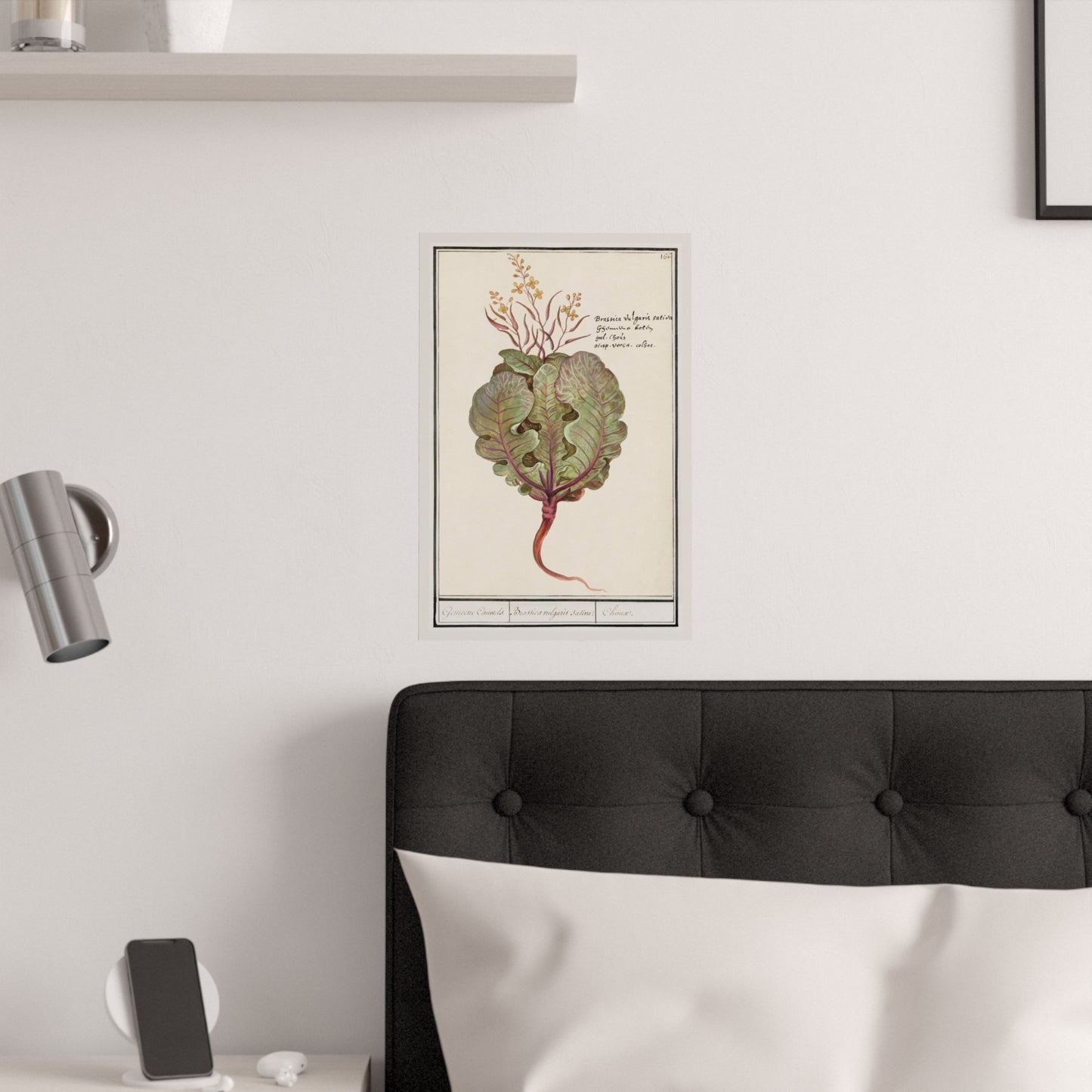 Mangosteens (Garcinia Mangostana) (1909) by Deborah Griscom Passmore Fruit Botanical Kitchen Art Poster